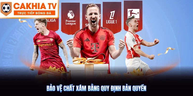 Bảo vệ chất xám bằng quy định bản quyền